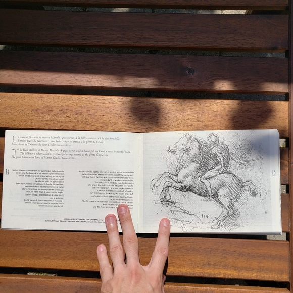 Book | Leonardo Da Vinci, Drawings and Notes - Picture 4 of 4